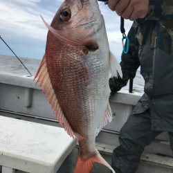 ランスルー 釣果