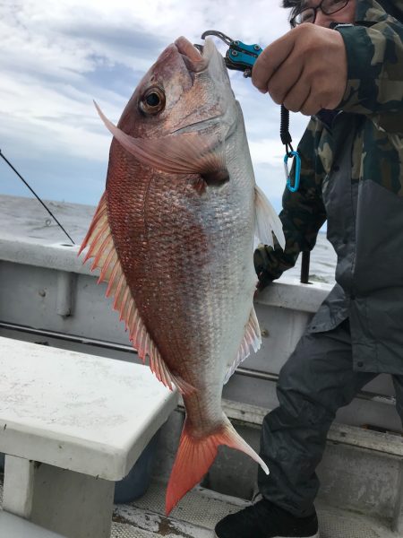 ランスルー 釣果