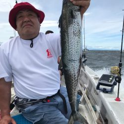 ランスルー 釣果