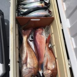 渡船屋たにぐち 釣果