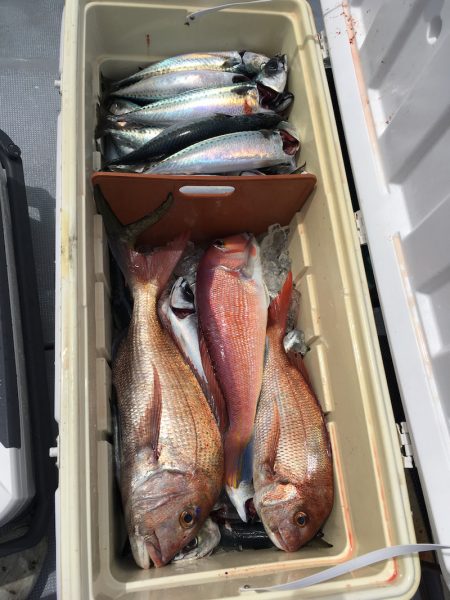 渡船屋たにぐち 釣果