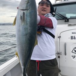 ビッグファイター 釣果