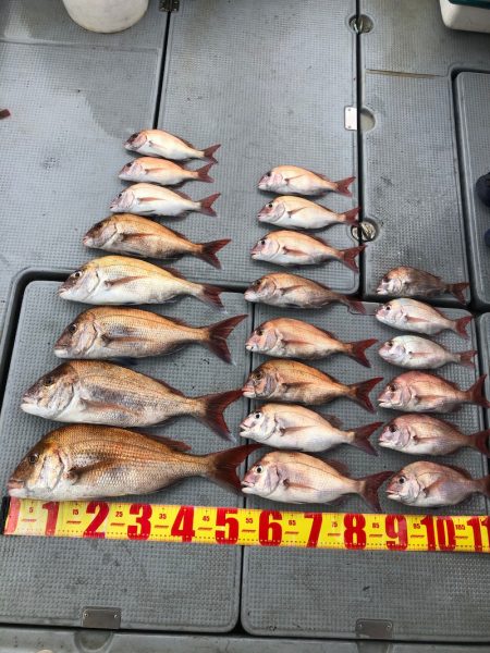 遊漁船高橋 釣果