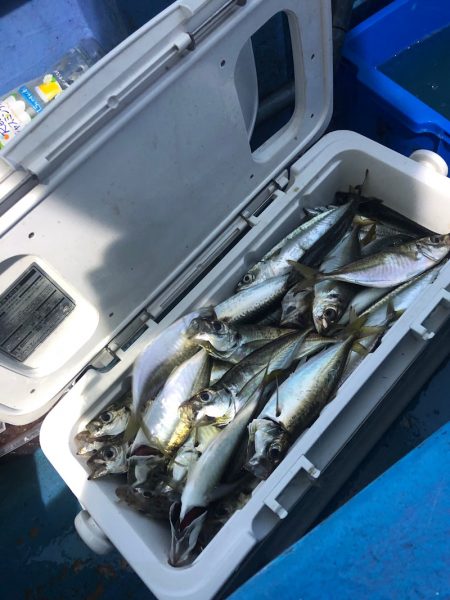 ヤザワ渡船 釣果