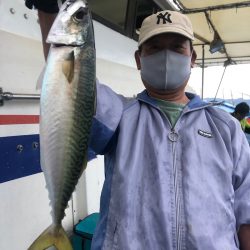 ヤザワ渡船 釣果