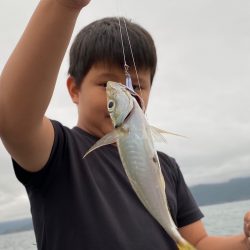 あみや渡船 JIGBOY 釣果