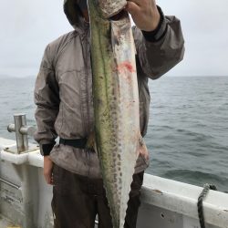 ランスルー 釣果