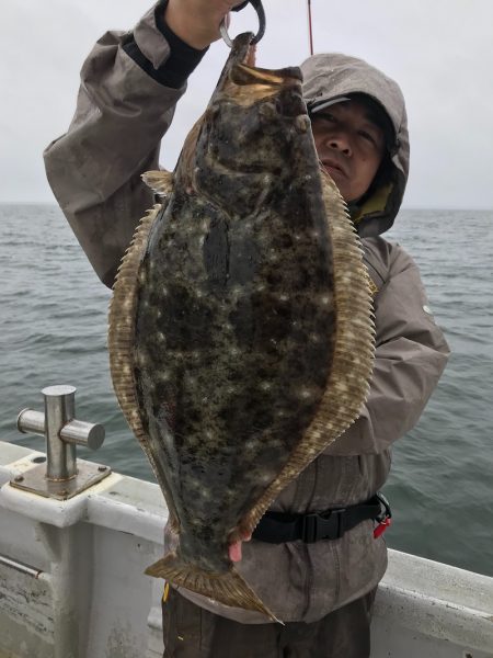 ランスルー 釣果