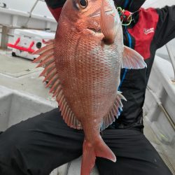 ランスルー 釣果