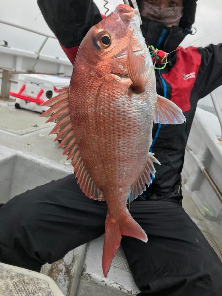 ランスルー 釣果