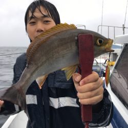 渡船屋たにぐち 釣果