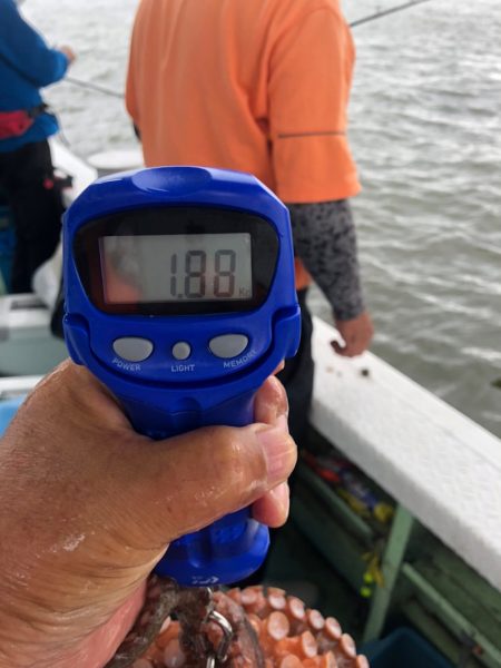 ヤザワ渡船 釣果