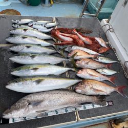 Monster Rush! 釣果