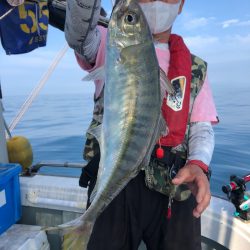 フィッシング キッタカ 釣果