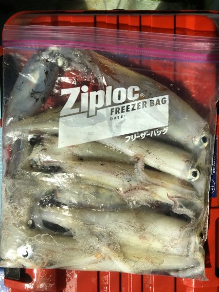 第二八坂丸 釣果