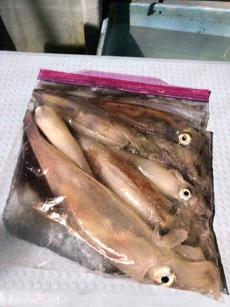 第二八坂丸 釣果