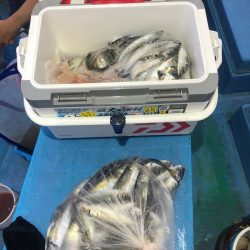 ヤザワ渡船 釣果