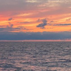 あみや渡船 JIGBOY 釣果