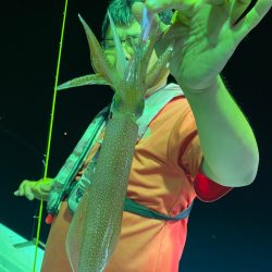 あみや渡船 JIGBOY 釣果