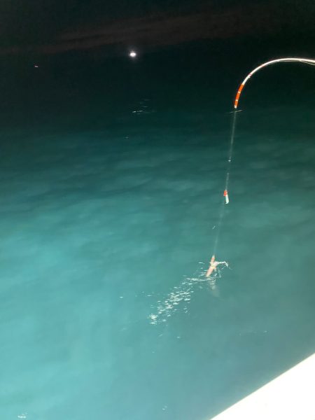 あみや渡船 JIGBOY 釣果