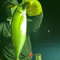 あみや渡船 JIGBOY 釣果