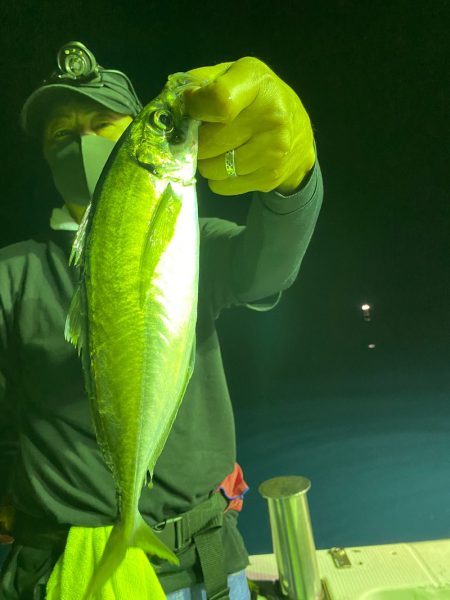 あみや渡船 JIGBOY 釣果