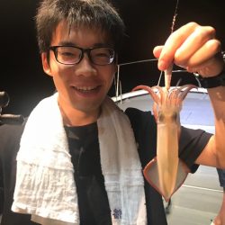 ＴＡＲＯＭＡＲＵ 釣果