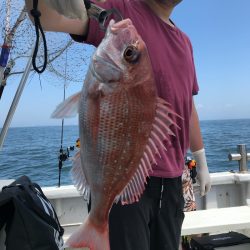 ランスルー 釣果