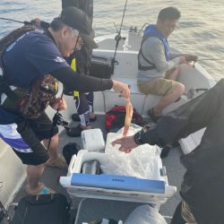 「LaGooN」蒼陽丸 日和号 釣果