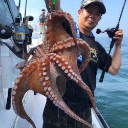 ビッグファイター 釣果