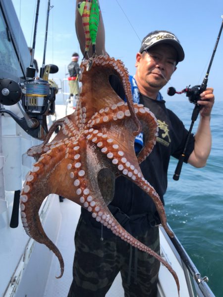 ビッグファイター 釣果