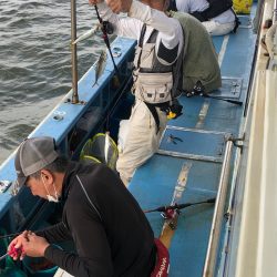 ヤザワ渡船 釣果