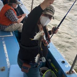 ヤザワ渡船 釣果