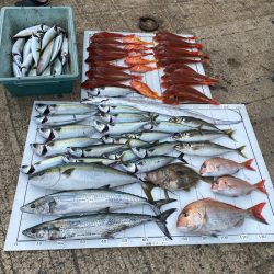 Monster Rush! 釣果