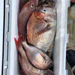 フィッシング キッタカ 釣果