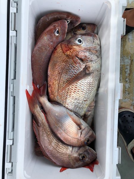 フィッシング キッタカ 釣果