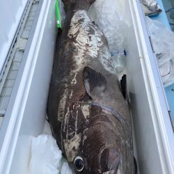 第二八坂丸 釣果