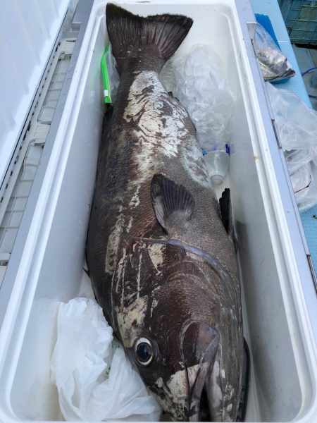 第二八坂丸 釣果