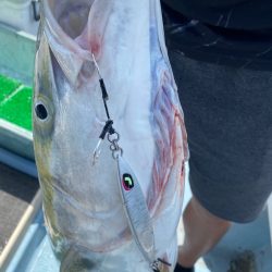 Monster Rush! 釣果