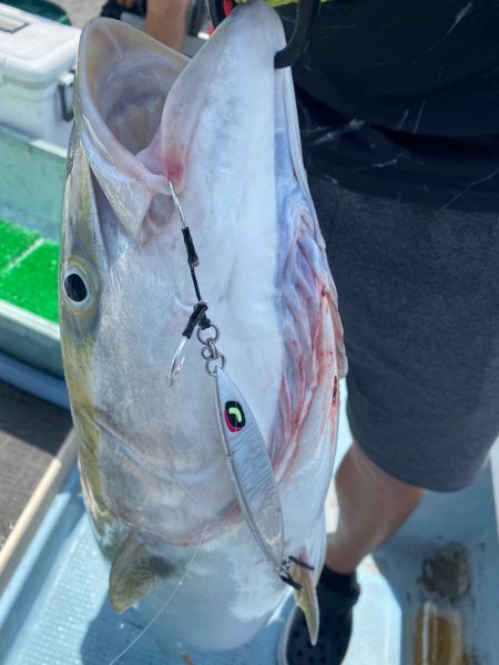 Monster Rush! 釣果