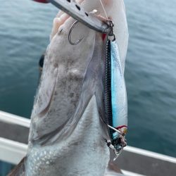 Monster Rush! 釣果