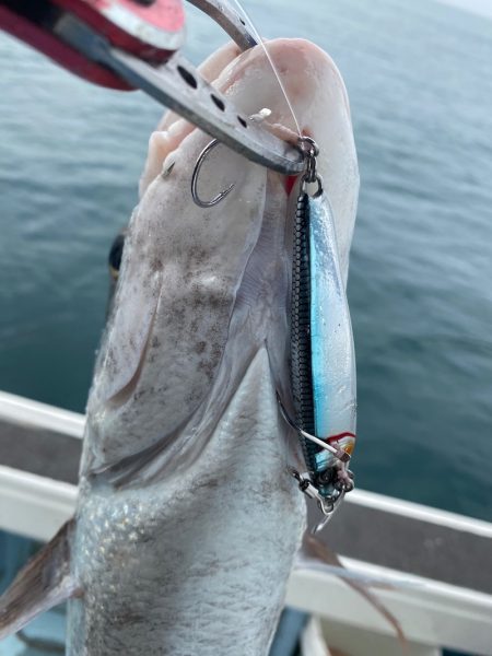 Monster Rush! 釣果