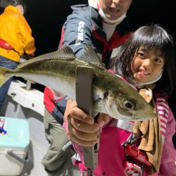 エヌスタイル 釣果