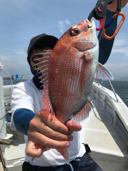 ランスルー 釣果