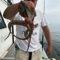 ランスルー 釣果