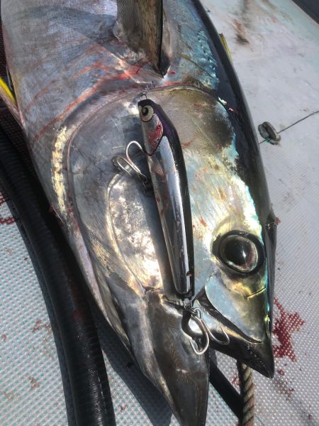 ＴＡＲＯＭＡＲＵ 釣果