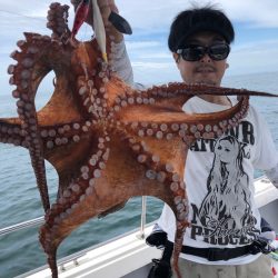 ビッグファイター 釣果