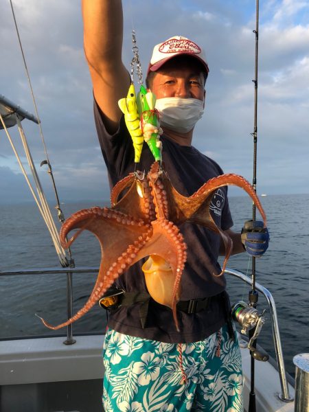 ビッグファイター 釣果