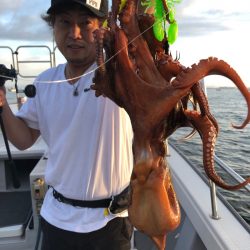 ビッグファイター 釣果