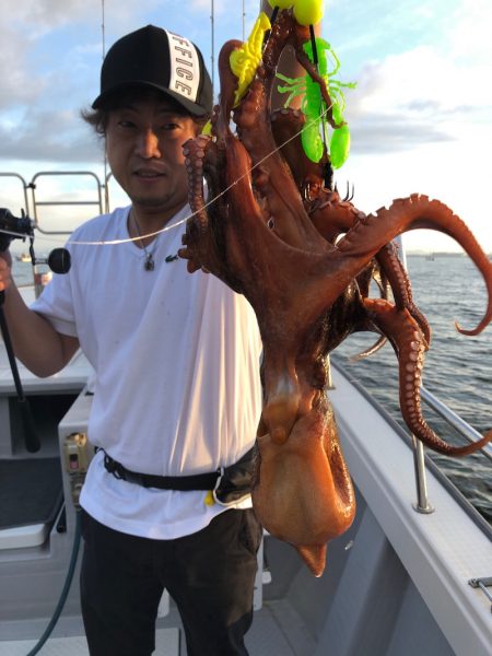 ビッグファイター 釣果